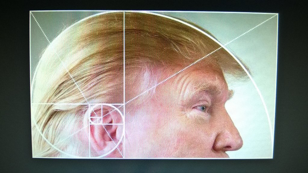 LessonToolbox's tweet photo. Researching Fibonacci and coming up Trumps! 
via @gmathewson1 

#math #mathchat #Trump #Trump2016 https://t.co/XvvJWxkm1C