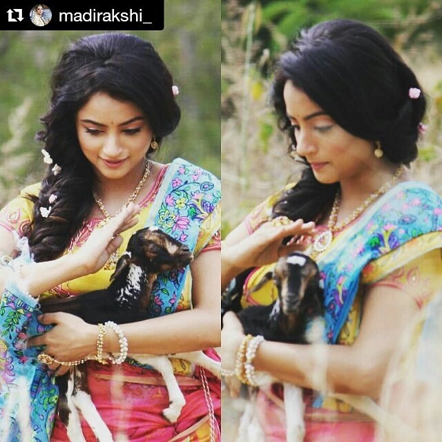 FCMadirakshi's tweet photo. Baby goat to be Pampered 👼
@_madirakshi
#cutetothecore #Pampered #SiyaKeRam https://t.co/YJZHV56cv2