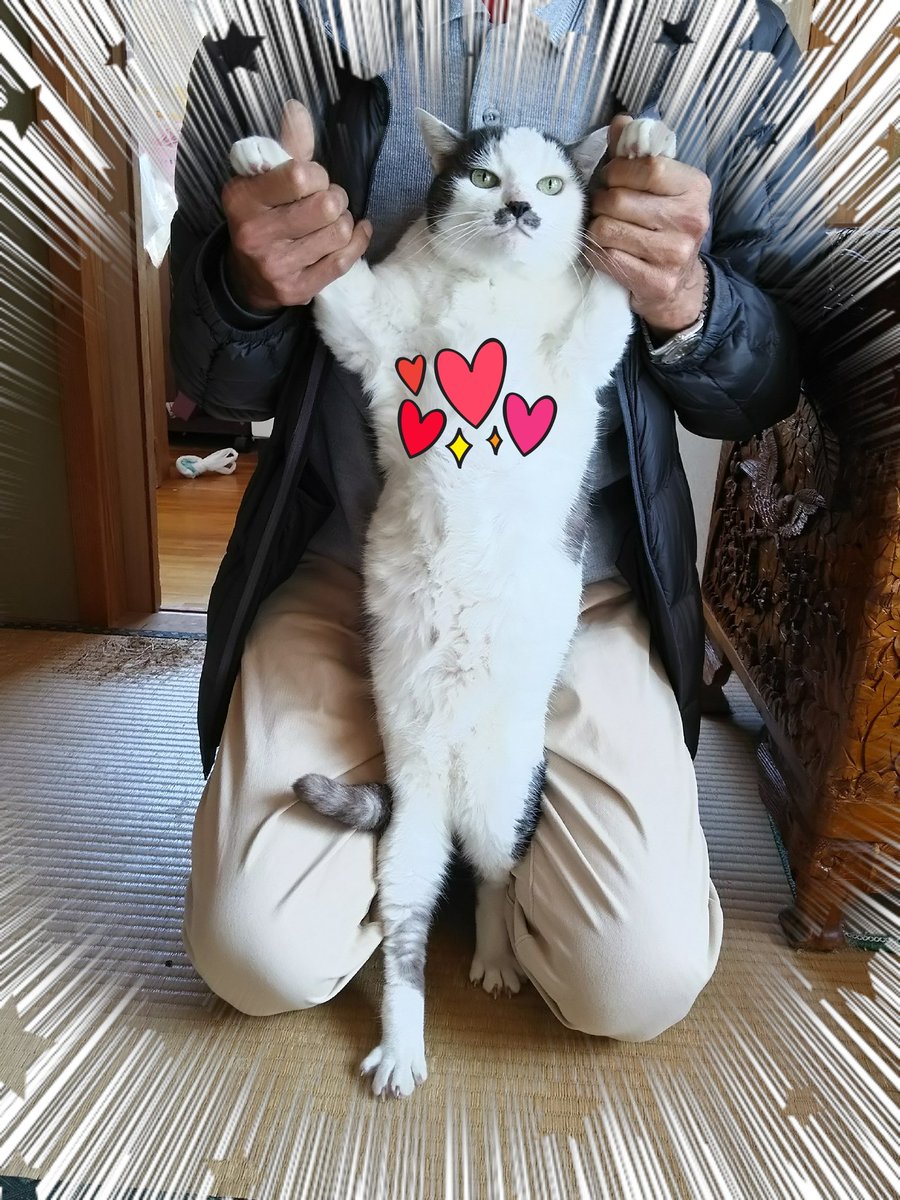 いわいぬし (@nqpwtedtqcorumb) on Twitter photo 