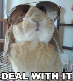 HopstrCo's tweet photo. 🐰 Hopstr hops on Twitter, no pun intended – https://t.co/fHT7PsNYiY https://t.co/yzod5D7ppx