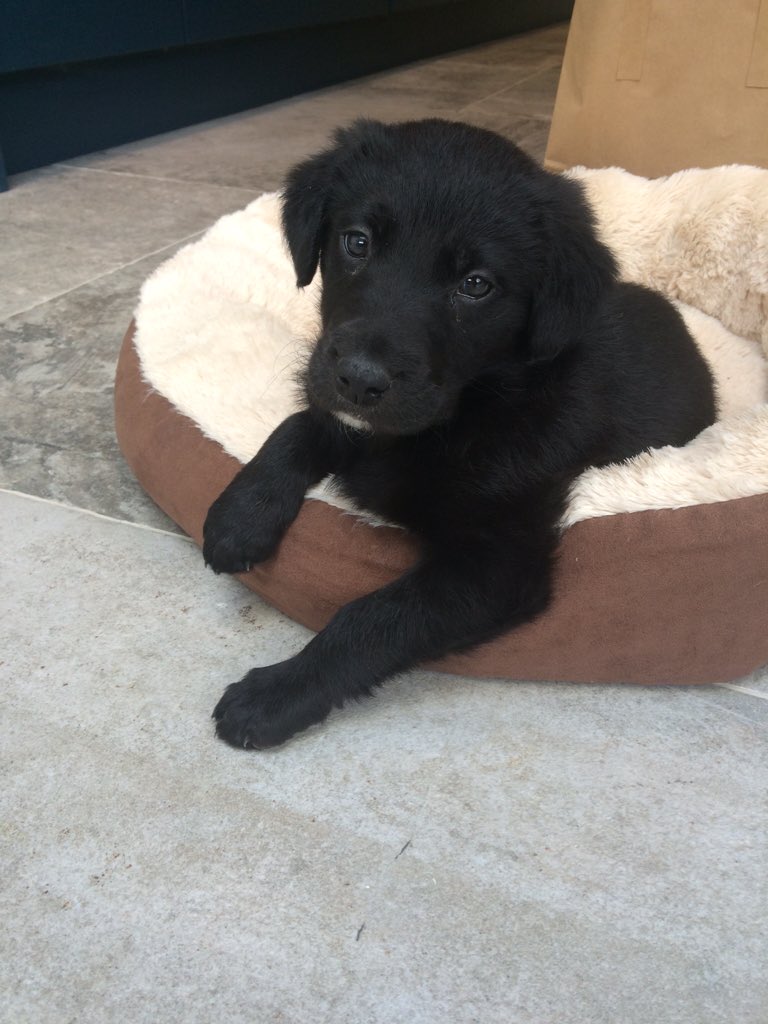 We need to keep the #teethingjewellery samples away from this new member of the #smallandme team!