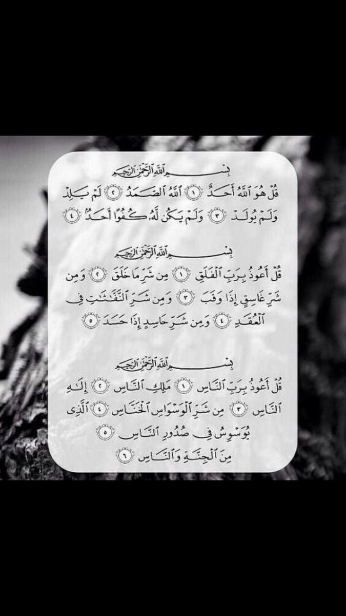 عبدالله tweet media