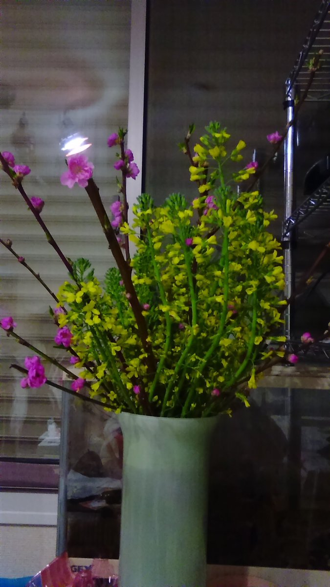 ひねもすのたりのたりかな على تويتر 桃と菜の花 ではなく ブロッコリー T Co 3ehfd5jbwd ひねもすのたりのたりかな على تويتر 桃と菜の花 ではなく ブロッコリー T Co 3ehfd5jbwd