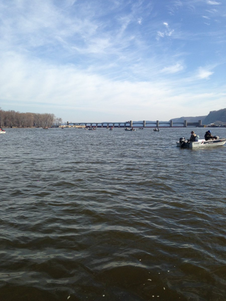 icebox40's tweet image. Current-ly on #pool10 #sauger