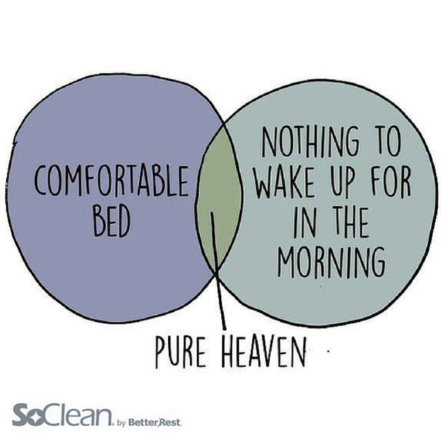 SoClean's tweet image. A little slice of heaven! Like if you agree #SoClean #cpap #betterrest #cleaning #health… dlvr.it/KmHNYW