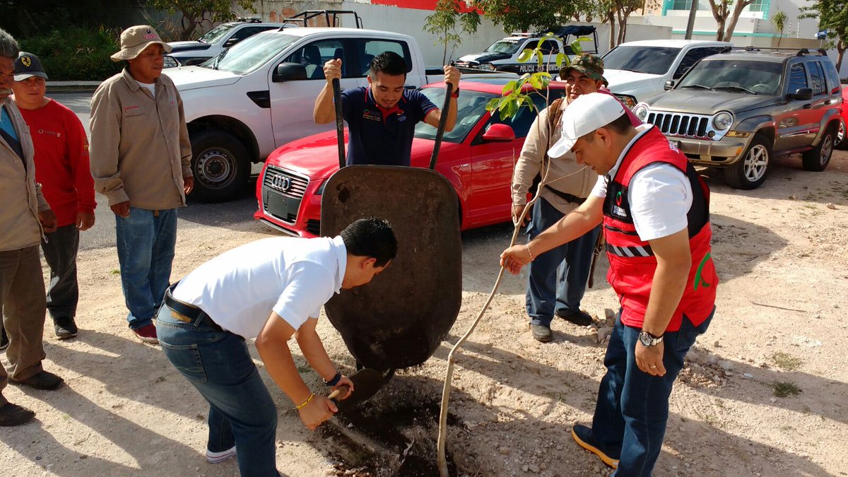 Reforesta <a href="/PaulCarrillo2/">Paul Carrillo</a> #AvHuayacán junto a funcionarios de <a href="/AytoCancun/">Ayto Benito Juárez</a> y #SociedadCivil <a href="/VivoEnCancun/">Vivo en Cancún 🏖️</a>