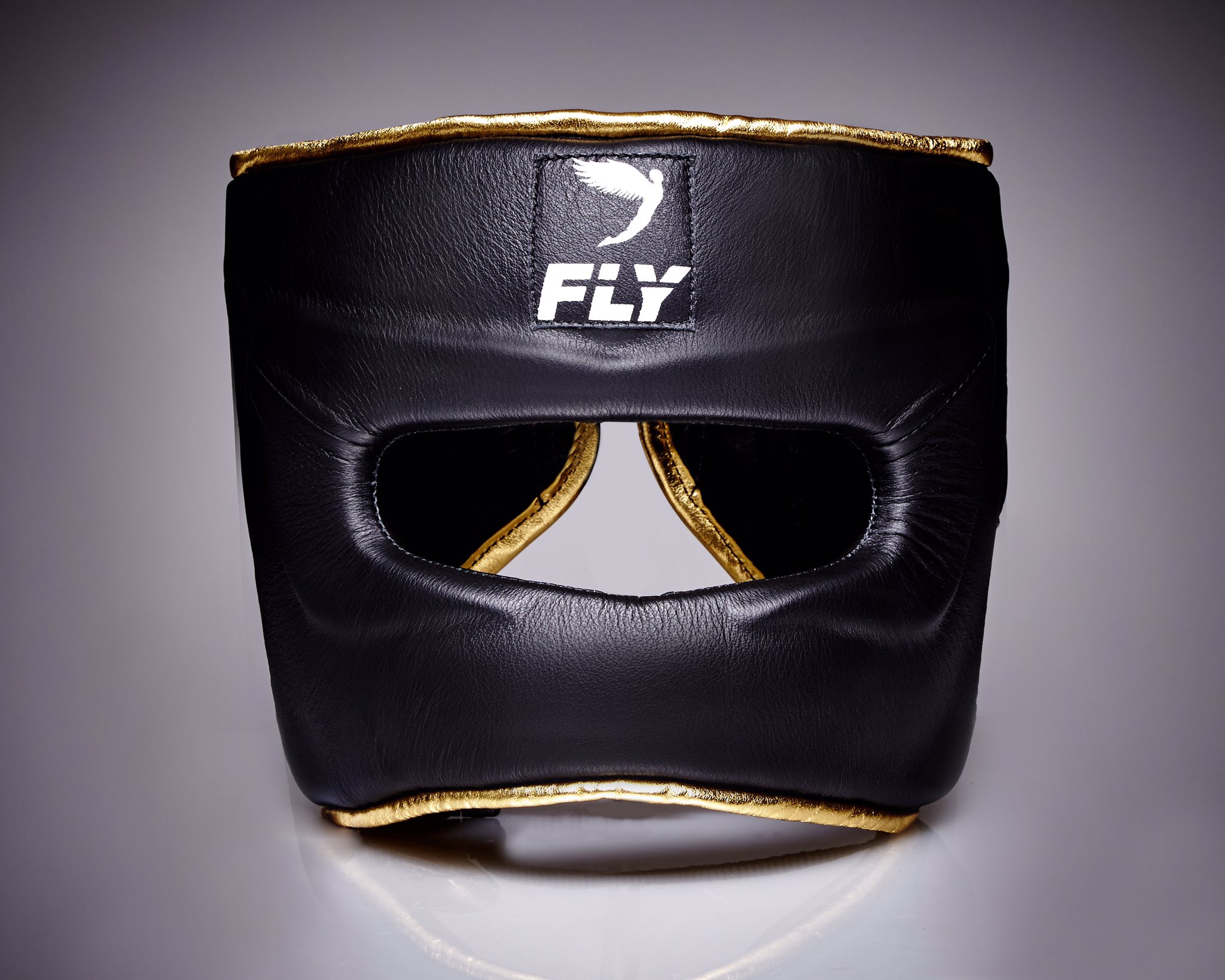 fly headguard