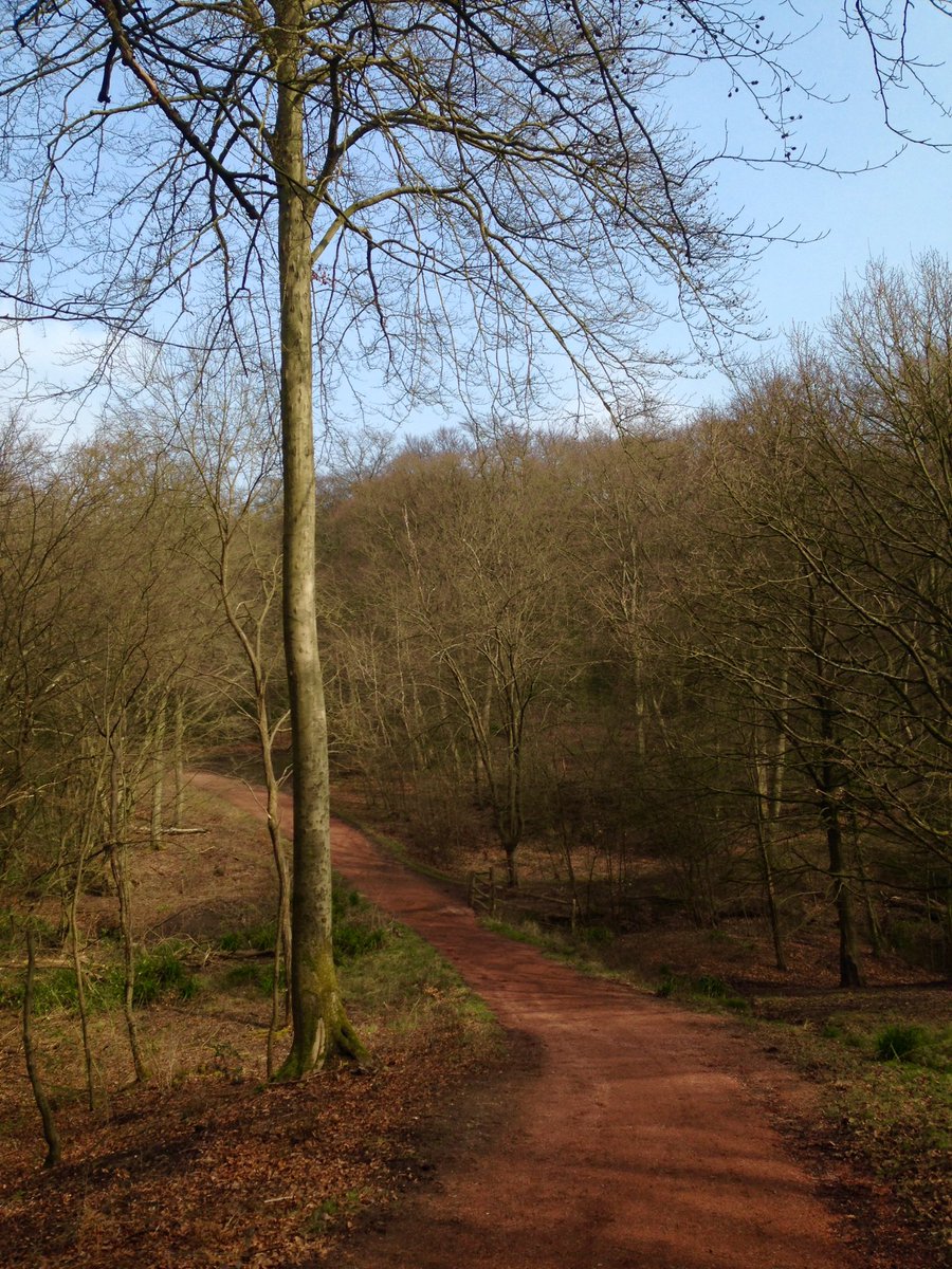 politic_animal's tweet photo. Lovely spring day in Epping Forest. And we avoided annoying locals with the Norman pronunciation of Theydon Bois. https://t.co/4tVQY9DYtg