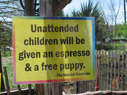 Wim Daniëls tweet media