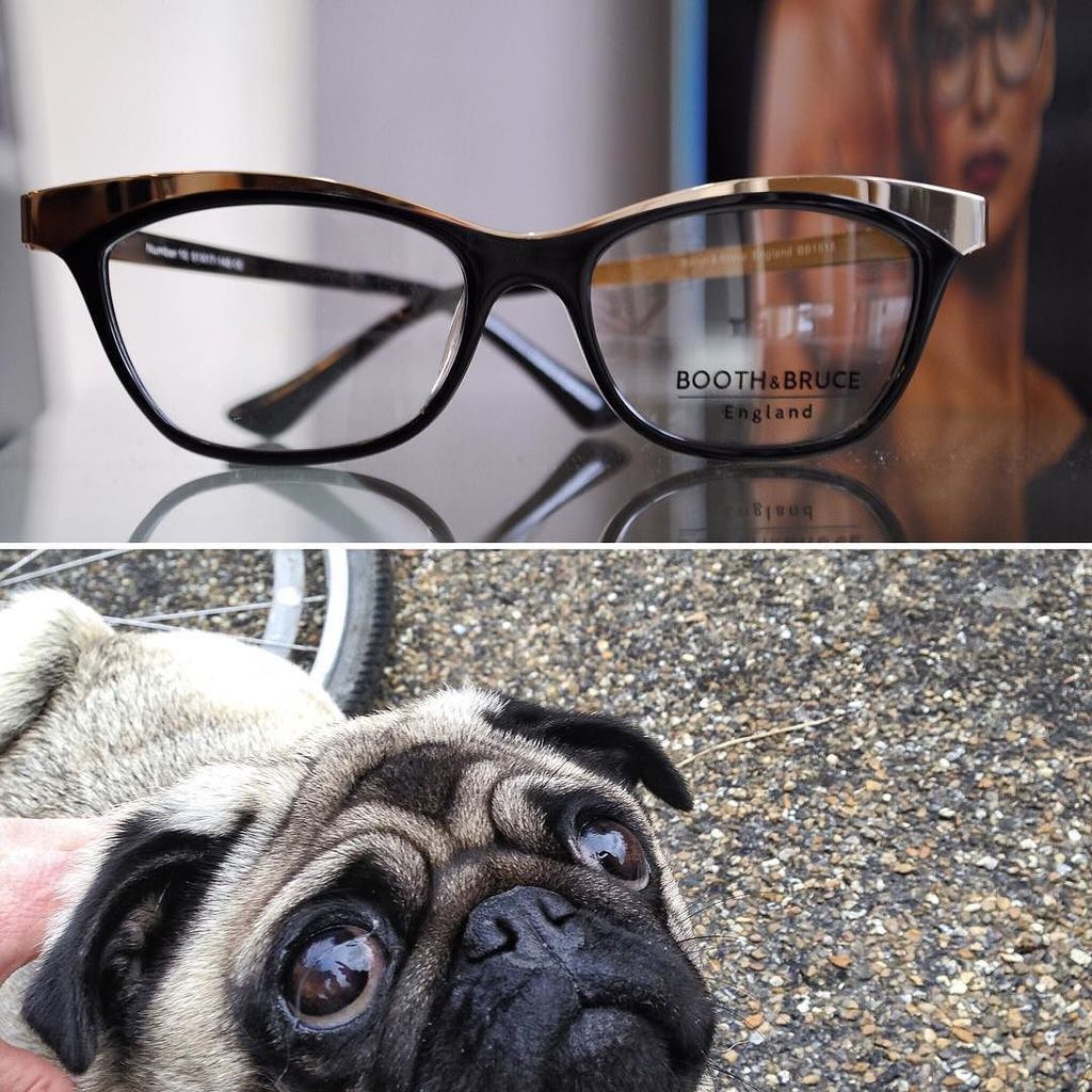 EyeOptician's tweet photo. Want to frame your beautiful #eyes? Get your #hackneystyle with us #spectacles #independen⦠https://t.co/9J1dOIYgaL https://t.co/Ik6MV5rUbt