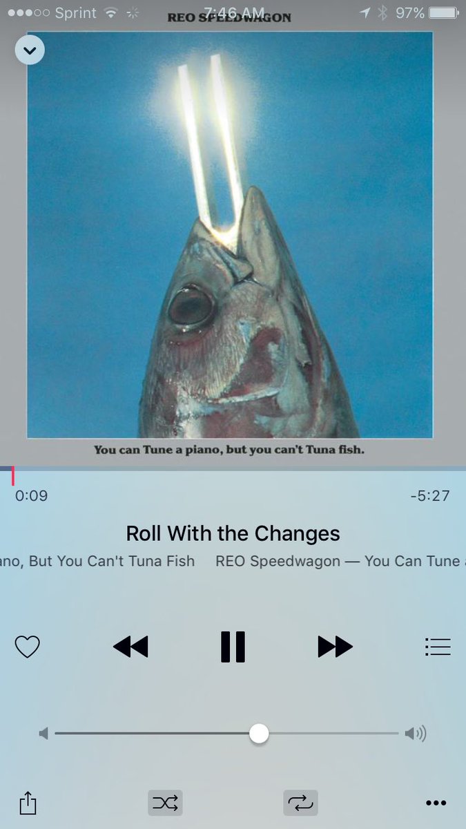 Pat_Bogue4's tweet image. @scottzolak have yourself a Saturday, Zo! #RollWithTheChanges @Marc_Bertrand