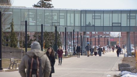 Brock University's handling of sexual harassment case angers students  ift.tt/1nEGFnE