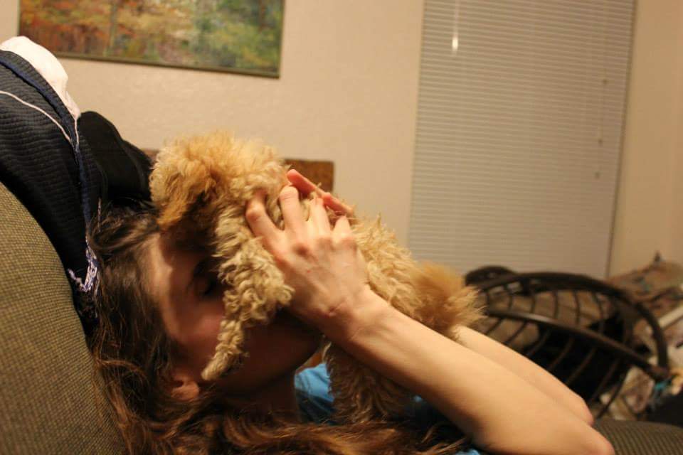 MoxyMaryGames's tweet photo. Jack as a baby 🐶 #maltipoo #dog #dogsoftwitter #puppy #cute #servicedog #medicalalertservicedog https://t.co/HkK89yZz78