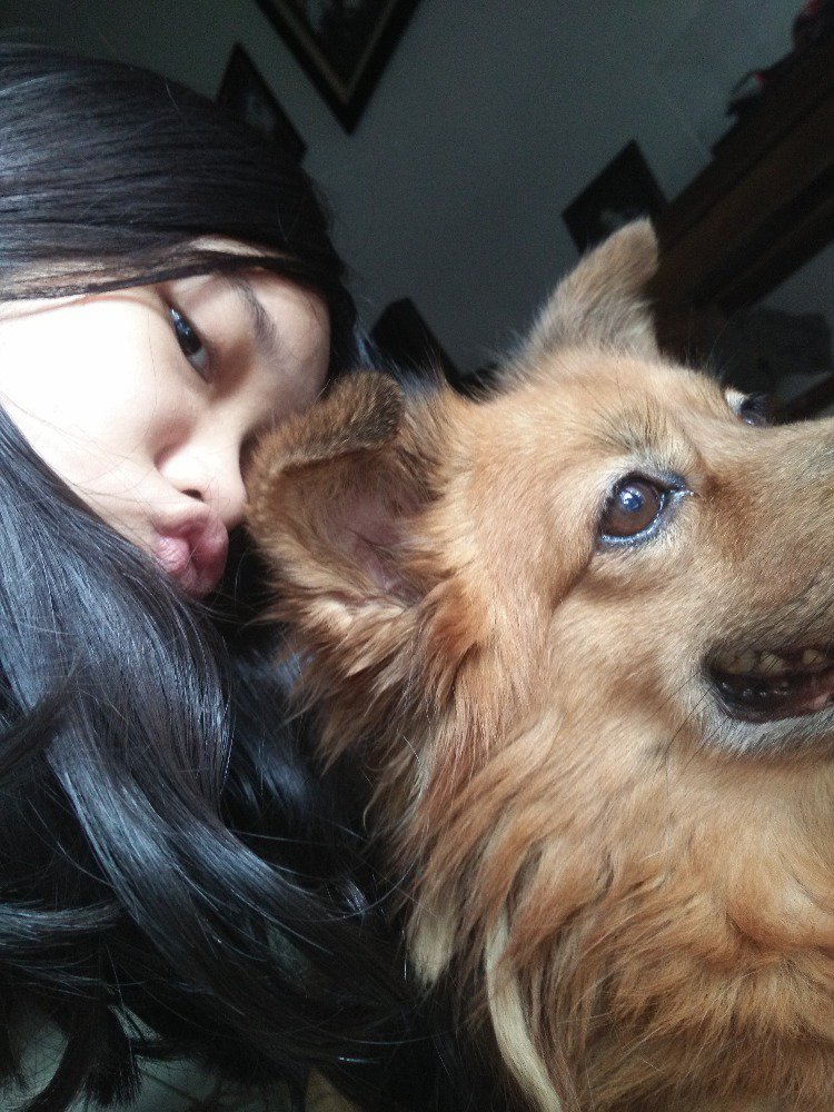 lauranadyas's tweet photo. He's not ma dog, he is my brotha dia yg nemenin gw main cos I dont have any siblings @goodtimes_NET #goodtimesnet https://t.co/K2KAMJLqP1