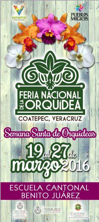 Xhristomorph777's tweet photo. Las flores, crecí rodeada de ellas, pensé q era normal vivir así, pero no todos las tienen. Visitala #CoatepecVer https://t.co/KgvaYpJ54F