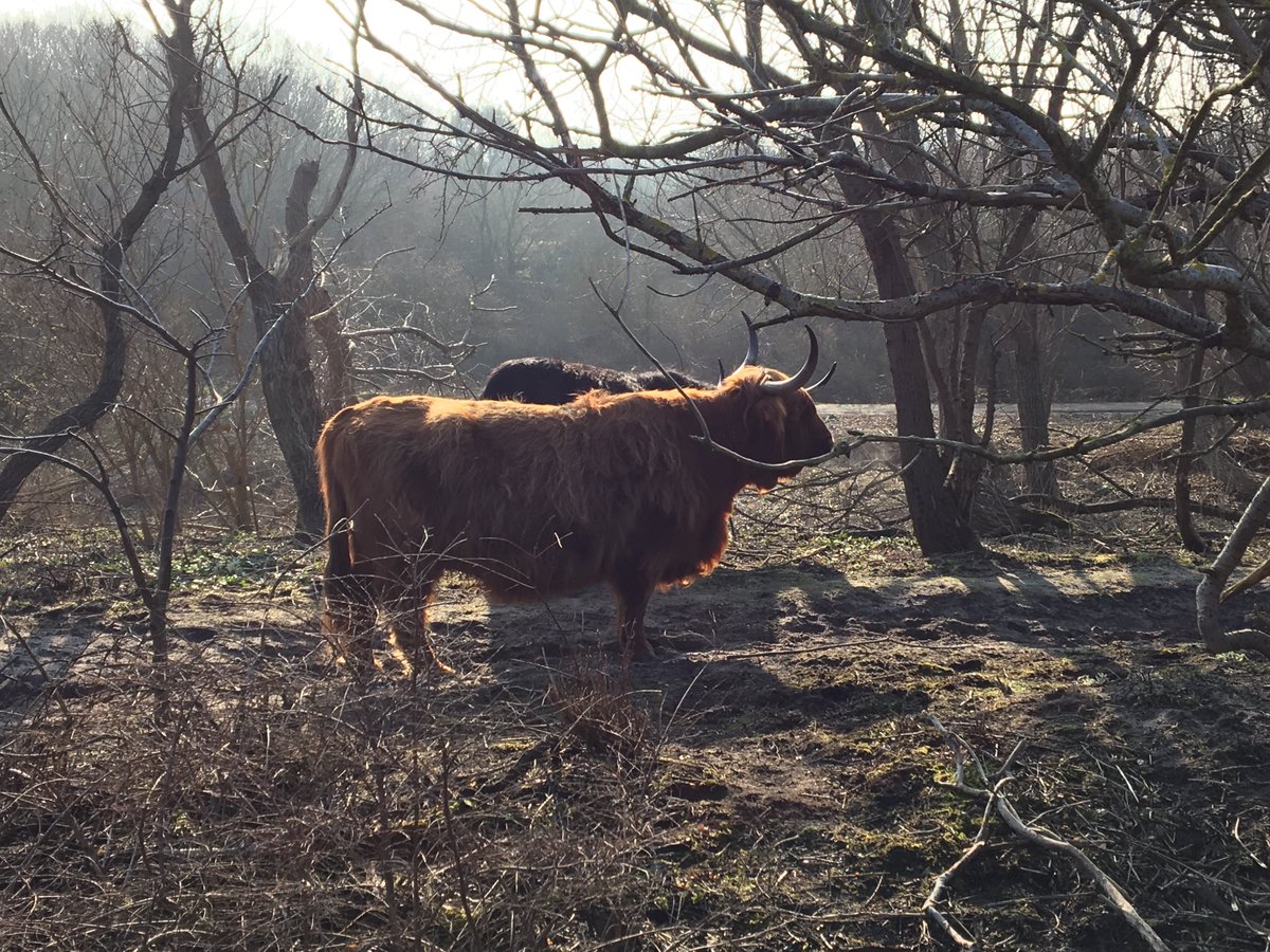 Ook dit is Den Haag.