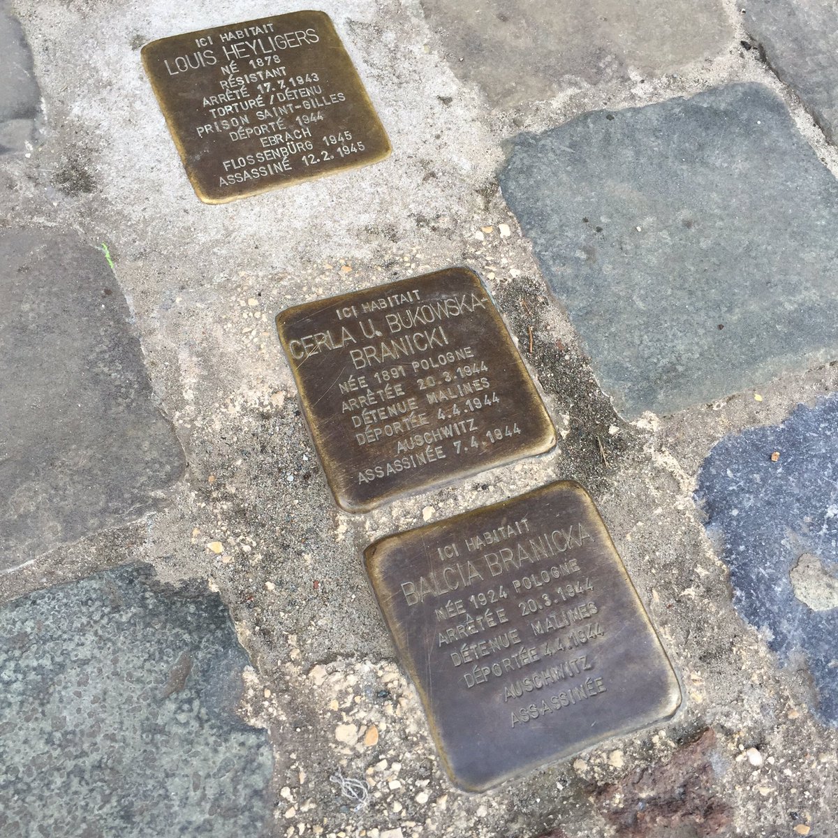 astroehlein's tweet photo. This is where the politics of fear &amp; hate leads… #NeverAgain #Stolperstein2016 https://t.co/POQhjPUfvC
