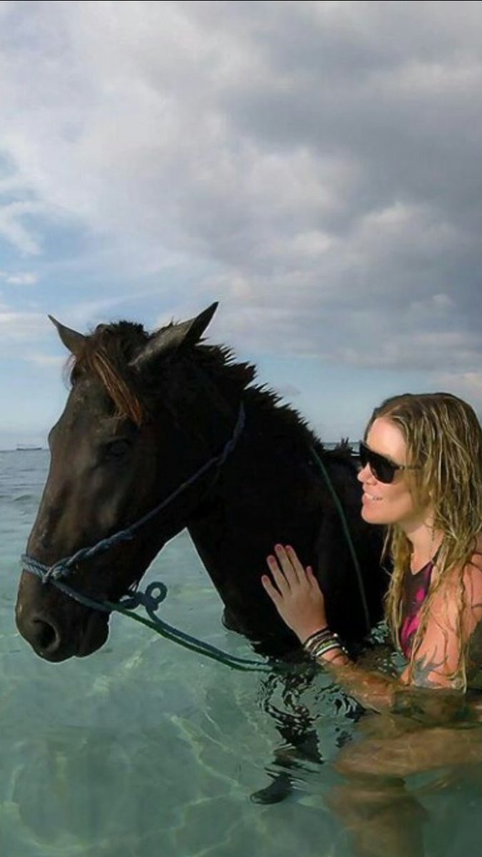 VJGiliTrawangan's tweet photo. Gili is beautiful. #nature #beach #resort #lombok #exploregili #horse #animal https://t.co/JkANJ4OWUy