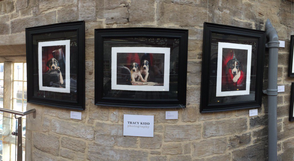 fabulous day <a href="/RichmondStation/">Richmond service station</a> with my new photography exhibition <a href="/ZetlandEstates/">Zetland Estates</a> <a href="/HOUNDS_Magazine/">HOUNDS_Magazine</a> <a href="/horseandhound/">Horse & Hound</a>