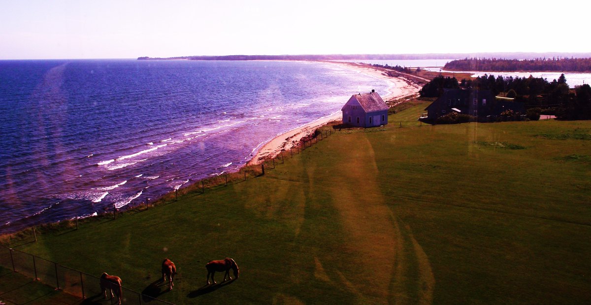 TrimblePainting's tweet photo. LIVE PERFORMANCE PAINTING coming to Panmure Island Beach, PEI, Canada summer 2016. https://t.co/RdyXy1c1xa https://t.co/FT4k3WA1Ni