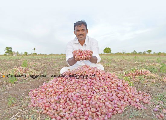 PasumaiVikatan's tweet photo. ‘சின்ன’ வெங்காயம்...‘பெரிய’ லாபம்!
https://t.co/H9o14M4A6q
#inion #cultivation #pasumaivikatan #vikatan https://t.co/FoGqDTgy3R