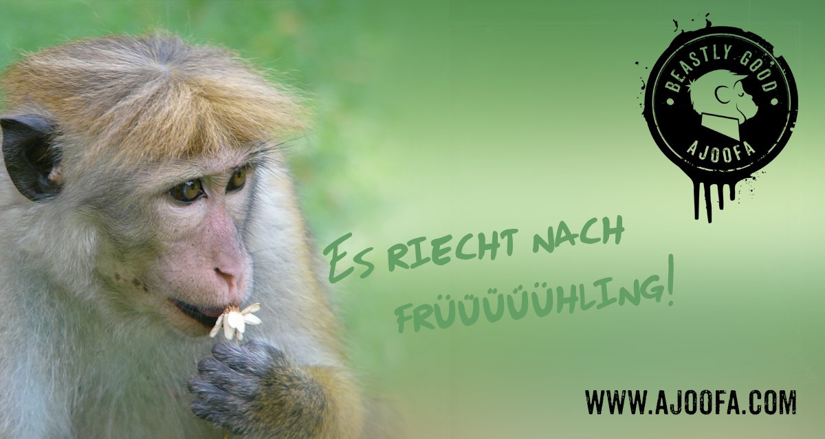 Frühling - und alles strahlt. Affenstarke Shirts für warme Tage gibt's natürlich bei uns ajoofa.com/de/