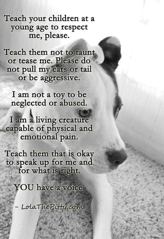 AATHSBC's tweet photo. Free education classes for kids &amp; adults @HumaneBroward #pitbull #misunderstooddogs https://t.co/Pa0WJgmQvB