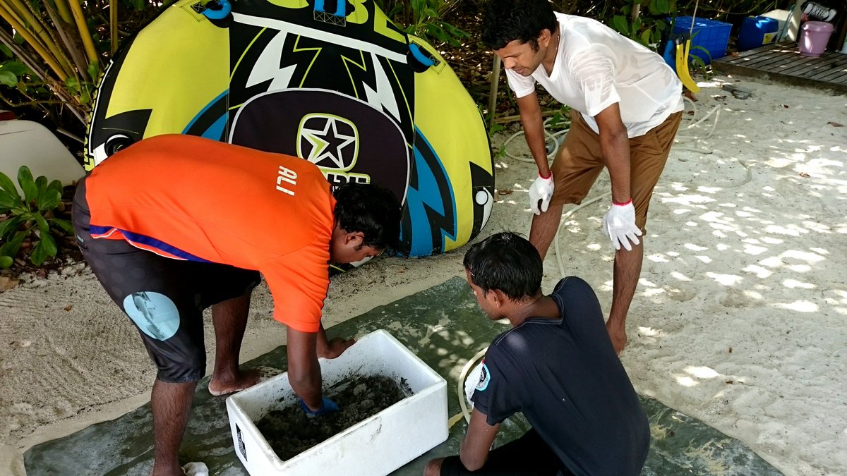 UNDP Maldives tweet media