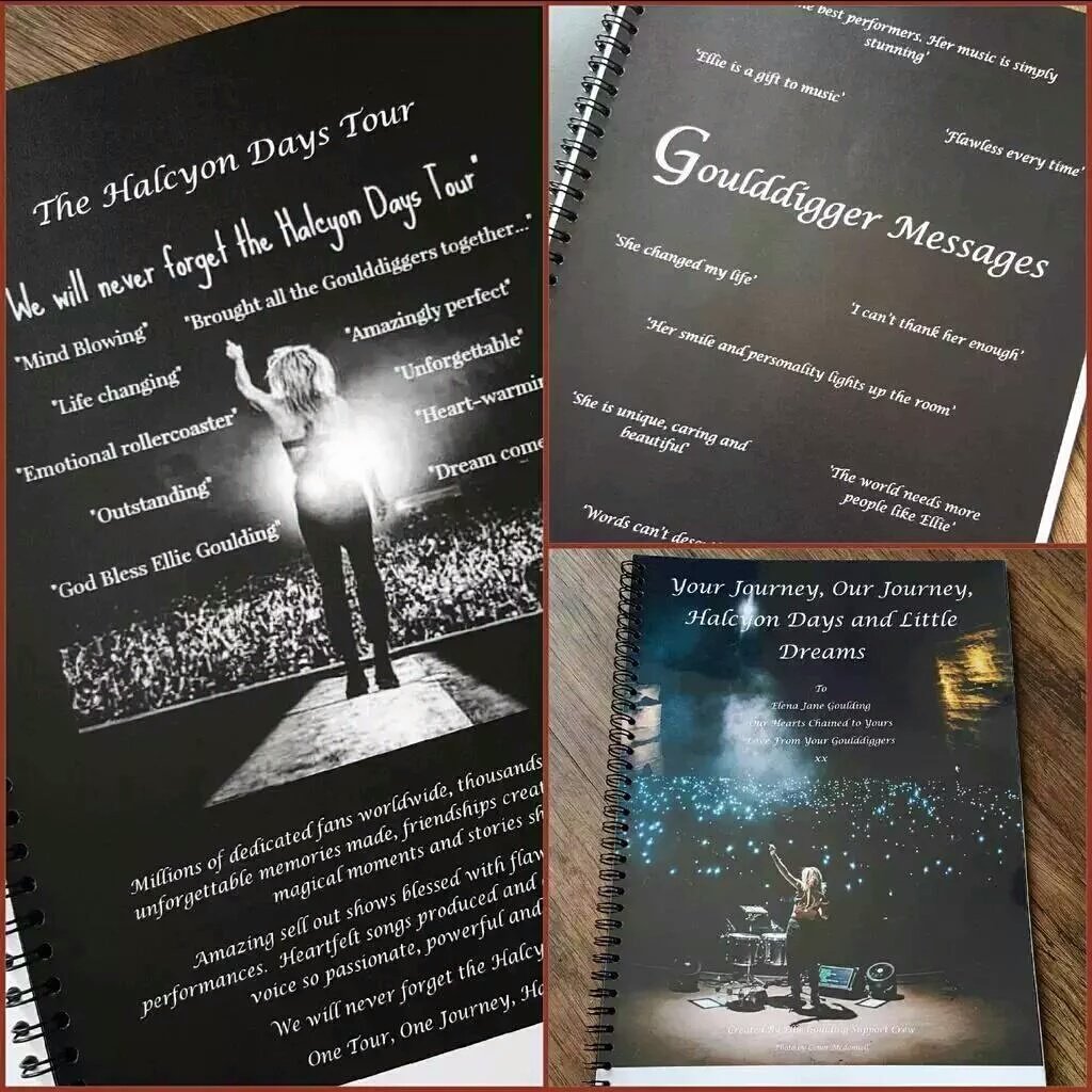 EGSupportCrew's tweet photo. Can't wait to see the beaut @elliegoulding tonight in Sheffield! Hopefully get this present from you all to her ❤ https://t.co/ay5RXhecKL