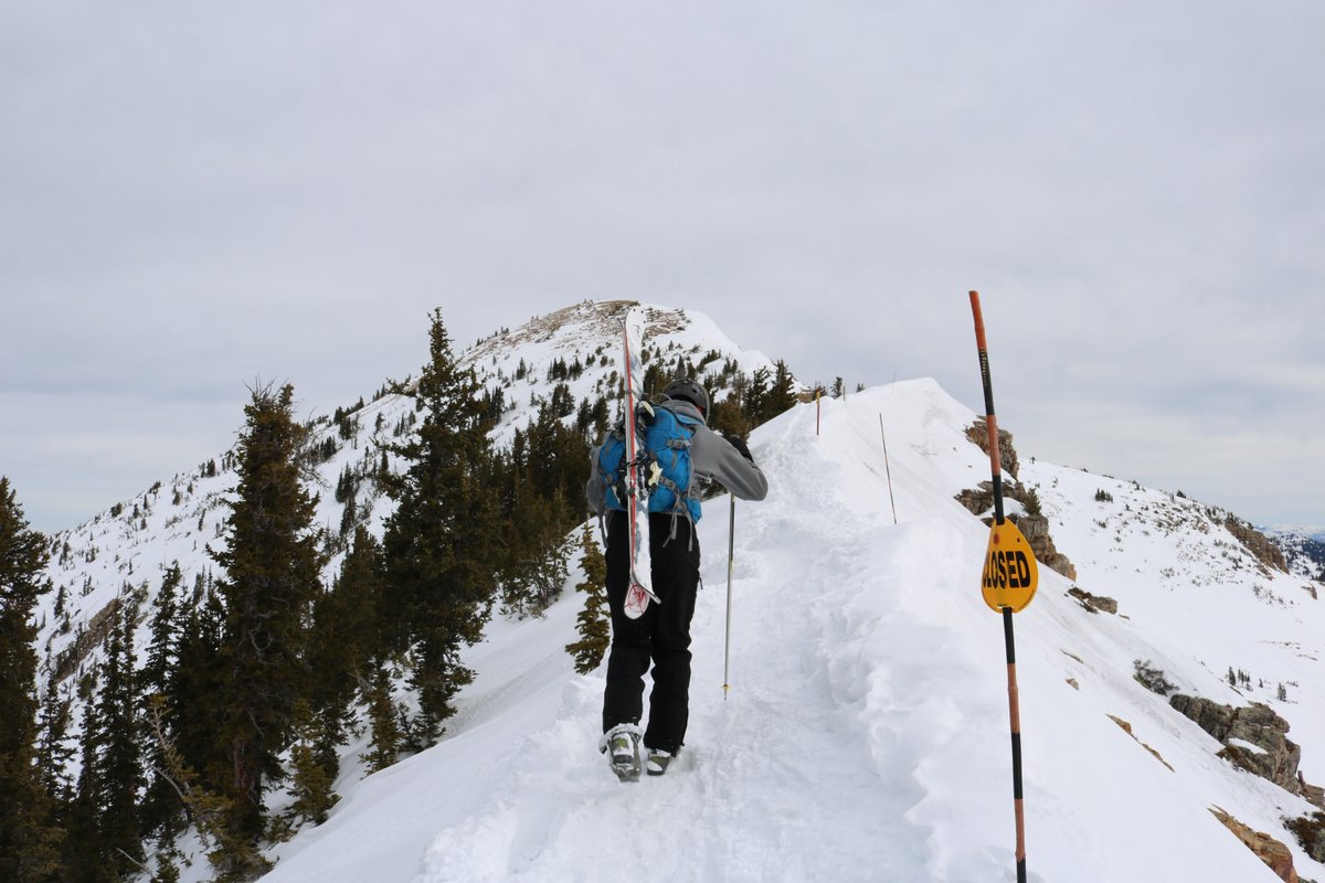 3footedcat's tweet photo. Spring skiing @Snowbird. Had to hunt down the good snow with @wacthompson3! #3footed #earnyourline #ski https://t.co/8AgjGibztU