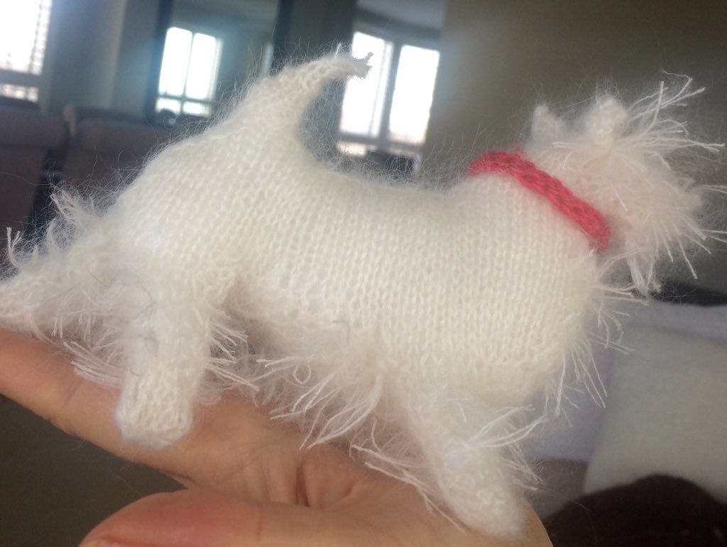 NadineMercey's tweet photo. #give gifts from the #heart nephew turns 3. Auntie Dini is happy with the bear sweater #westhighlandterrier his dog https://t.co/u2N32e0exE