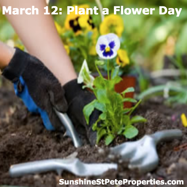 eXpEricHartman's tweet photo. It's Plant a Flower Day! Here's a good how to: https://t.co/BysOQmAXnq #Flowers #Gardening #Garden #SunshineStPete https://t.co/2Q1AYadmE3
