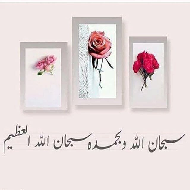 الباقيات الصالحات:
سبحان الله 
والحمدلله 
لا إله إلا الله 
الله اكبر 
ولاحول ولاقوة إلا بالله