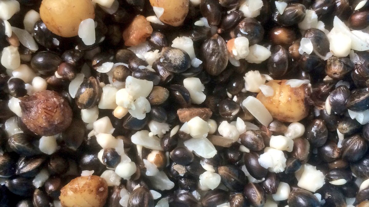matt_whalley35's tweet photo. The crunch from Deep Blue Particles High in protein, hemp, chopped peanuts and mini tigers #Quality @DeepJrawlings6 https://t.co/FFPcPXK7D0