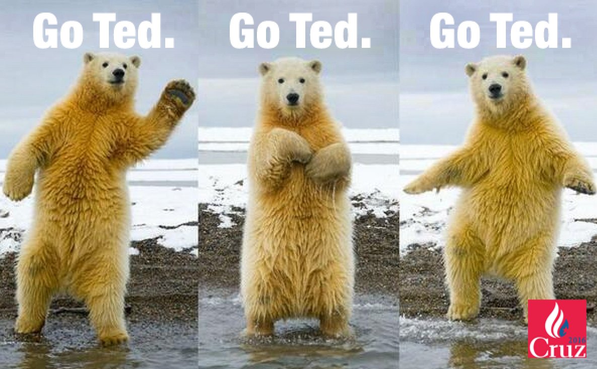 Saint_Obama's tweet photo. .@lhmist GO TED GO!!! #OHprimary #MOprimary #NCprimary #FLprimary #DCprimary https://t.co/DwbKLJuktl