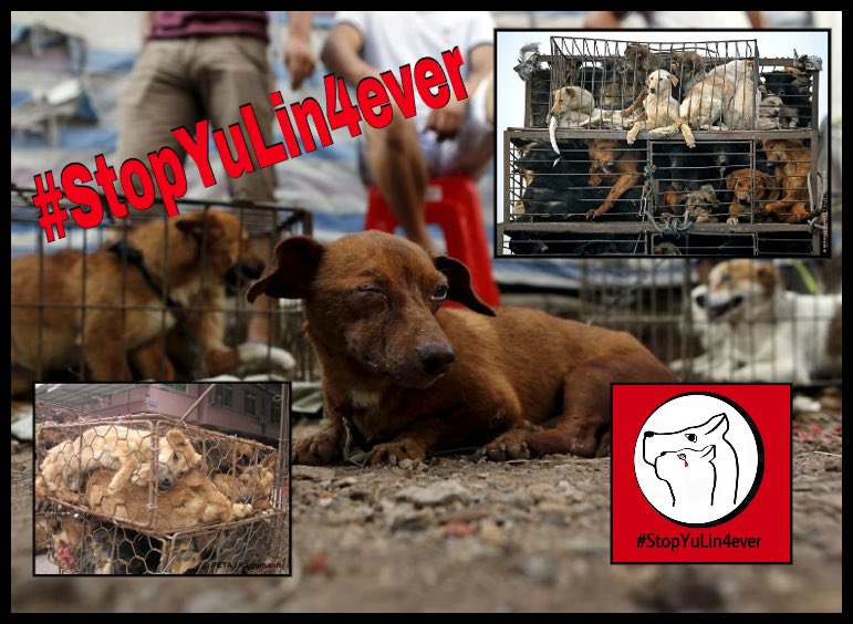 kristy hoflen (kristy_hoflen) Twitter