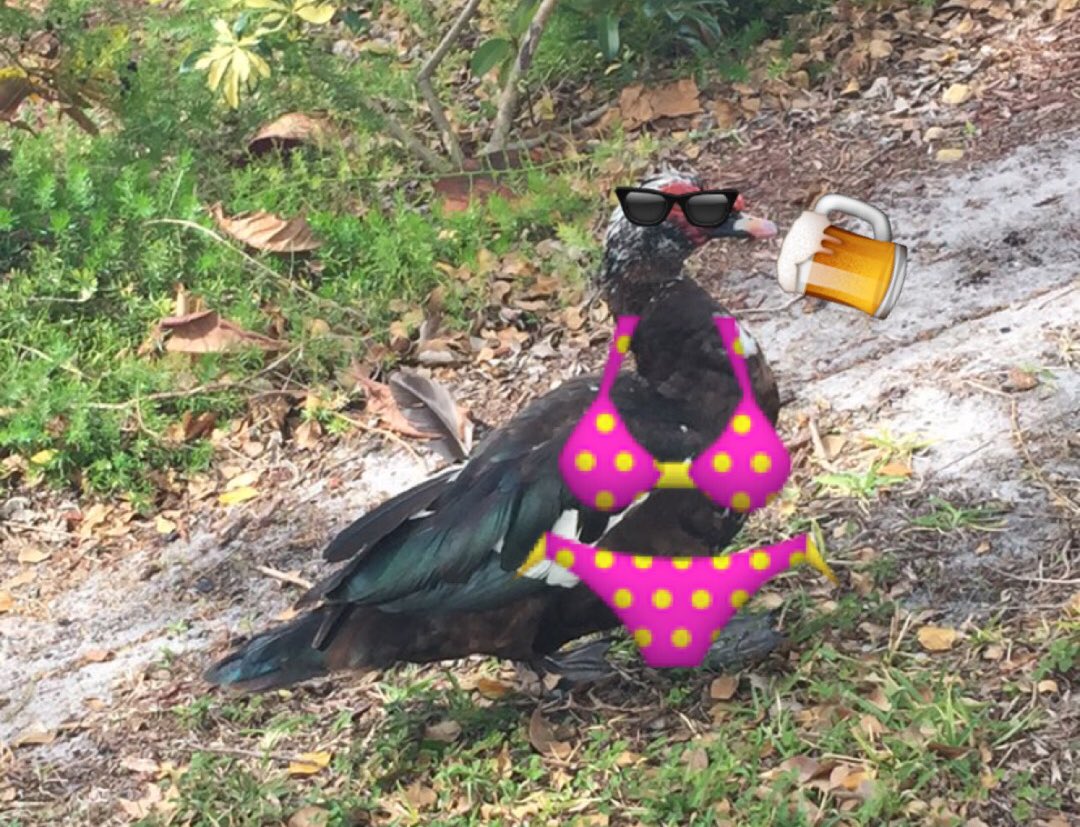 Turn the fuck up