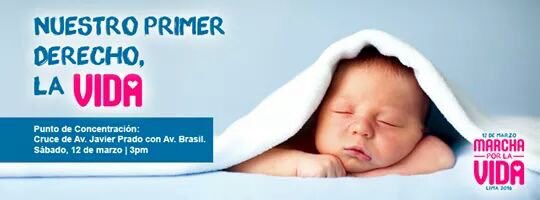 DomProVida tweet picture