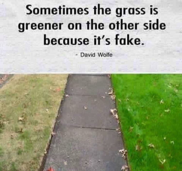 0Chills's tweet image. Well 🐸☕️