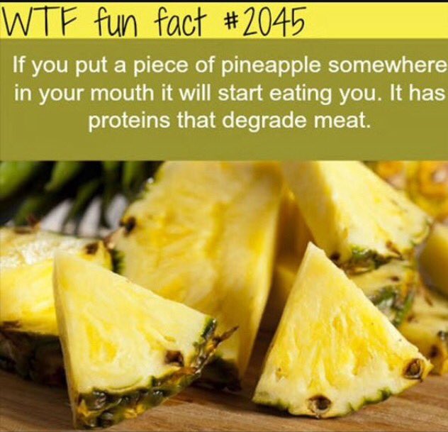 RFFDaily's tweet image. Yikes! 🍍