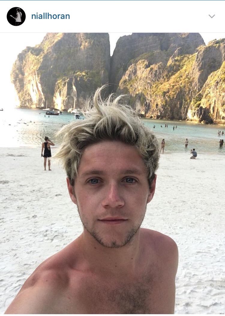 One Direction Update tweet media