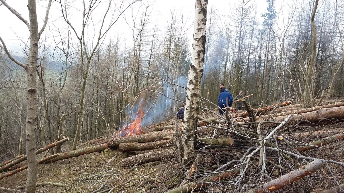 heyjooode's tweet photo. Burning larch brash to a soundtrack of oystercatchers &amp; curlews with @YorksWildlife in #grasswood # volunteering https://t.co/1L4vyS8Pn5