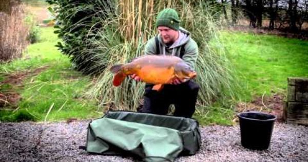 CarpFishingEx's tweet photo. Carp Care https://t.co/Wmv1uS5b1G https://t.co/pXPaDSU4xN