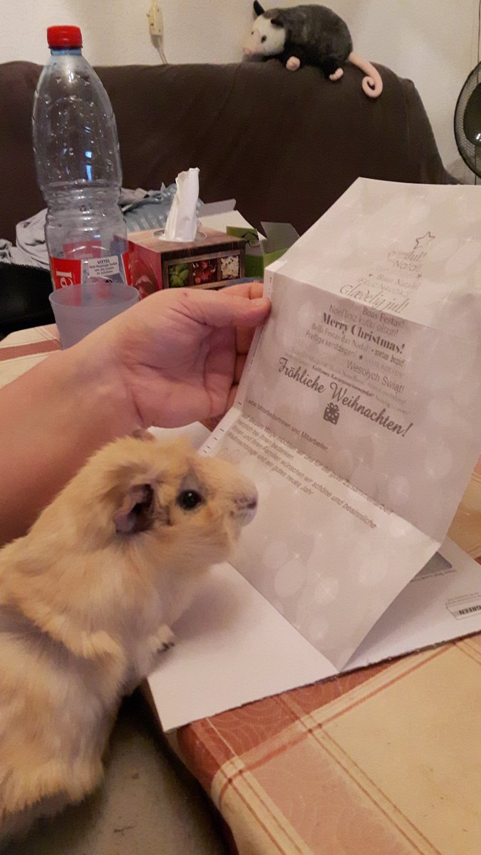 Hab ich gerade wieder gefunden  Mein süßer Akira 😍