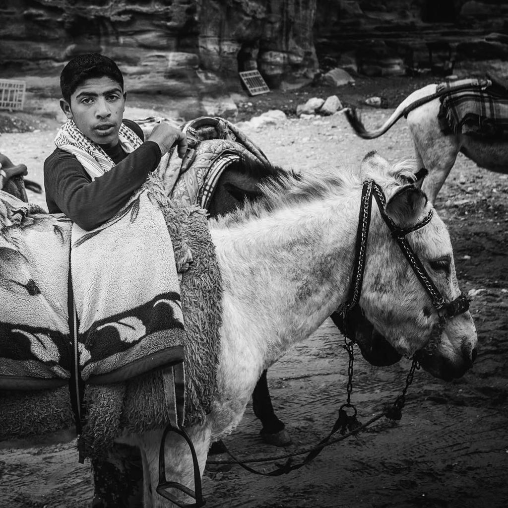 sefayamak's tweet photo. #lifeinjordan #jordan #petra 2015 https://t.co/JZlAVnVX47 https://t.co/Q3R8AXVEIr