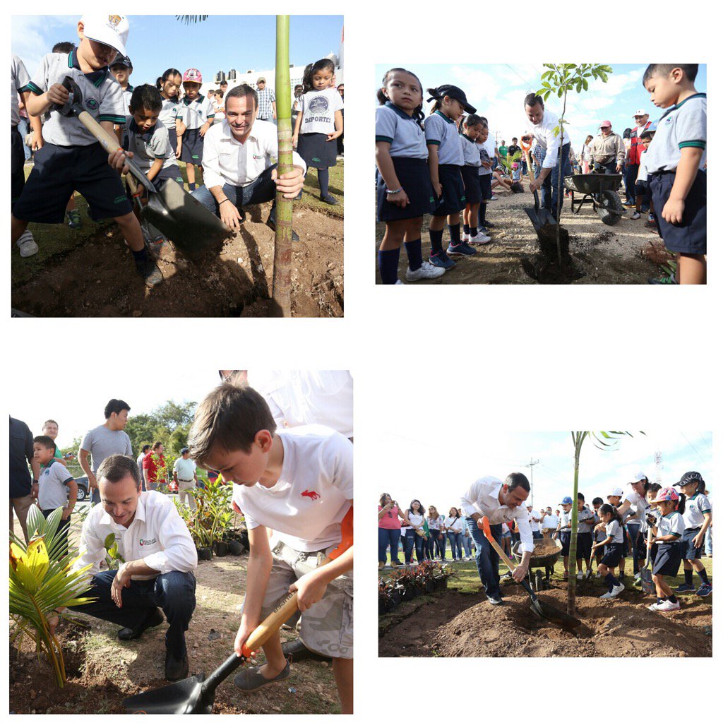 En la reforestación d la Huayacan participaron ciudadanos y funcionarios Pronto haremos una 2nda etapa <a href="/VivoEnCancun/">Vivo en Cancún 🏖️</a>