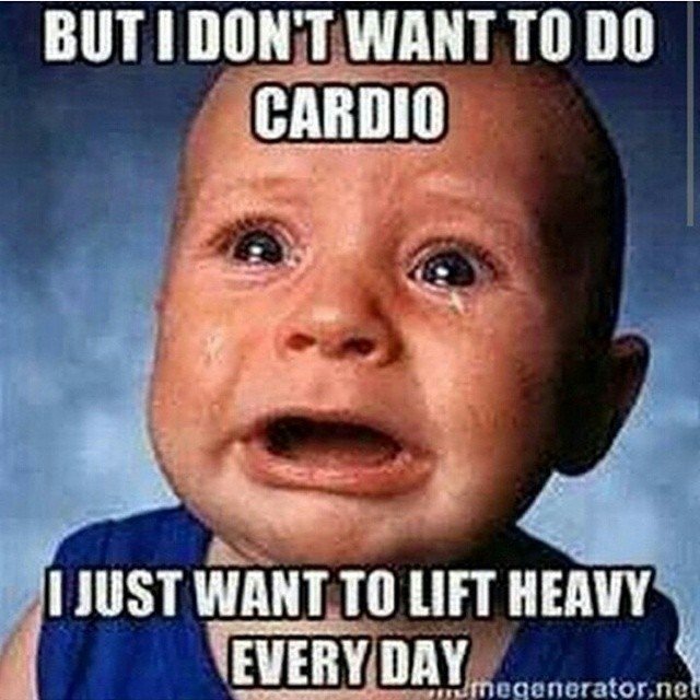 GetActiveGetFit's tweet photo. Is this you ? #fitness #getactivegetfit https://t.co/7Ma2YEyU0e