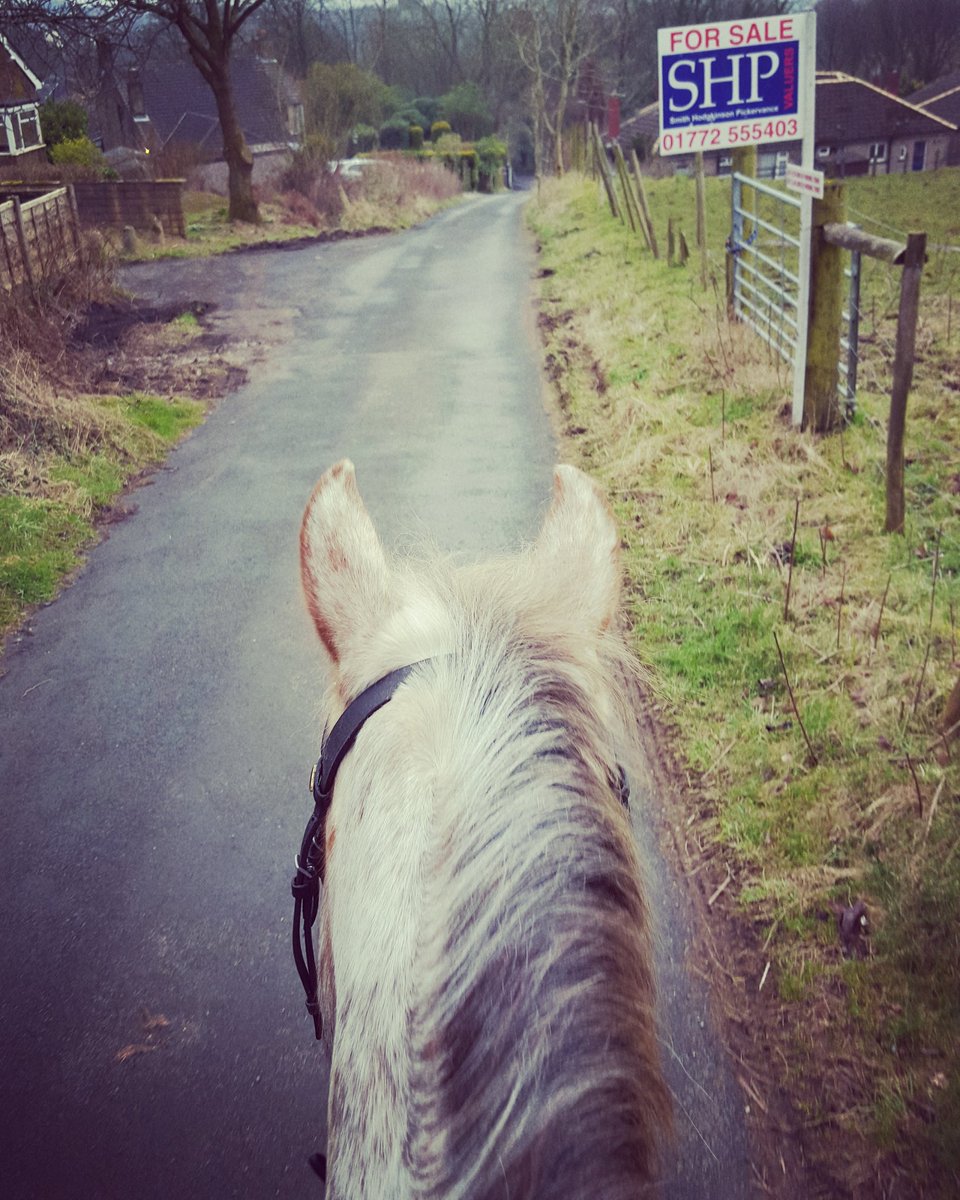 katetomlinso's tweet photo. The new steed #otbot #goodboy https://t.co/paDqNiPTAd