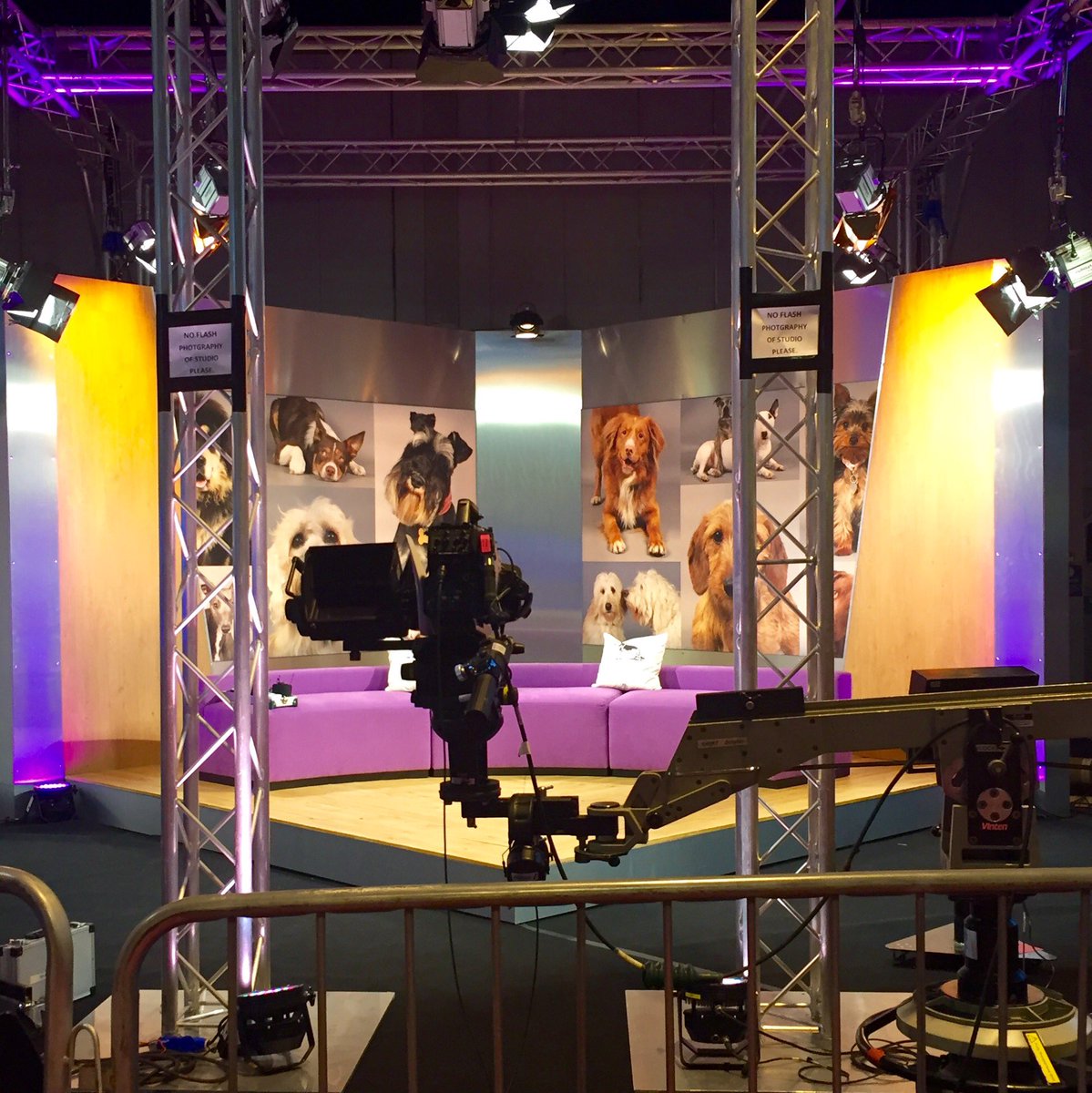 Pawed's tweet photo. Today's #Crufts coverage starts at 6.30pm on More4. I'll be snoozing on the coach but if you see us, do wave 😉🐶🐩🐕 https://t.co/EBhoJXjcgw