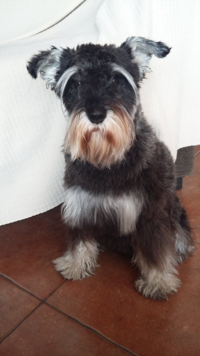 MingoSegui's tweet image. 